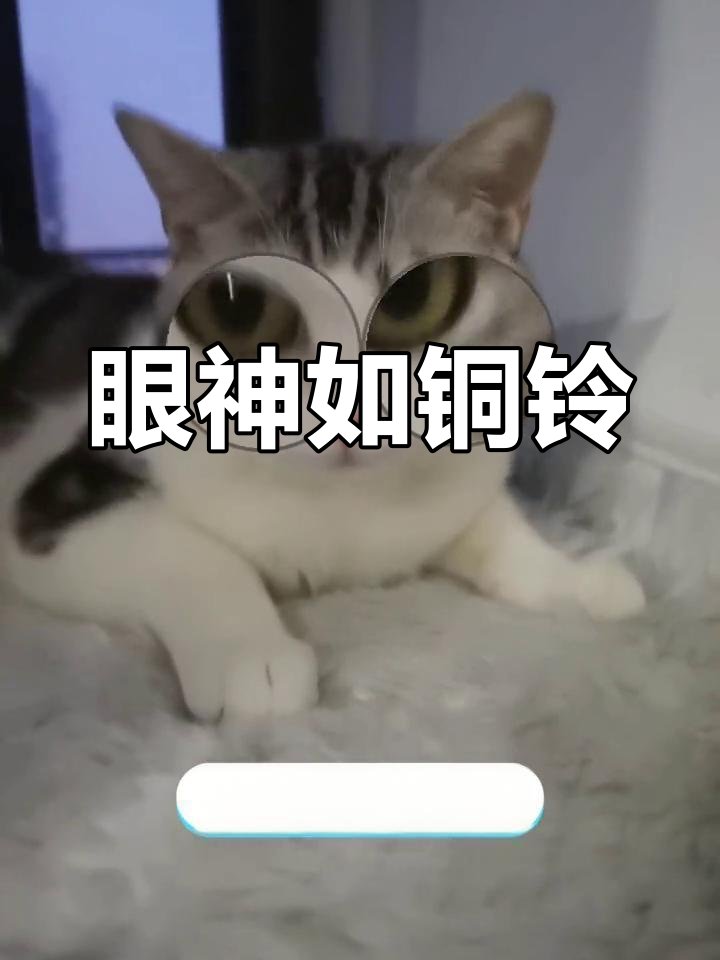 Alain BARRY tweet media