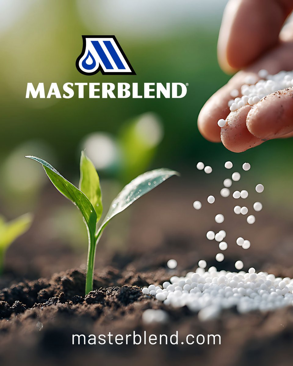MasterblendFert's tweet image. Source matters. The components of our fertilizers are diligently vetted to insure we are delivering only the purest, highest technical grade nutrition to your crops. 
Quality ingredients have impact!

#thesourcematters
#technicalgrade
#cleaningredients
#masterblendfertilizers