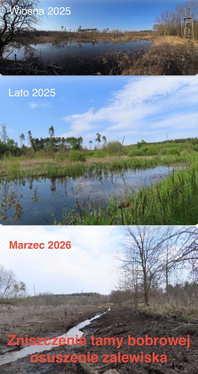 Jan Śpiewak tweet media