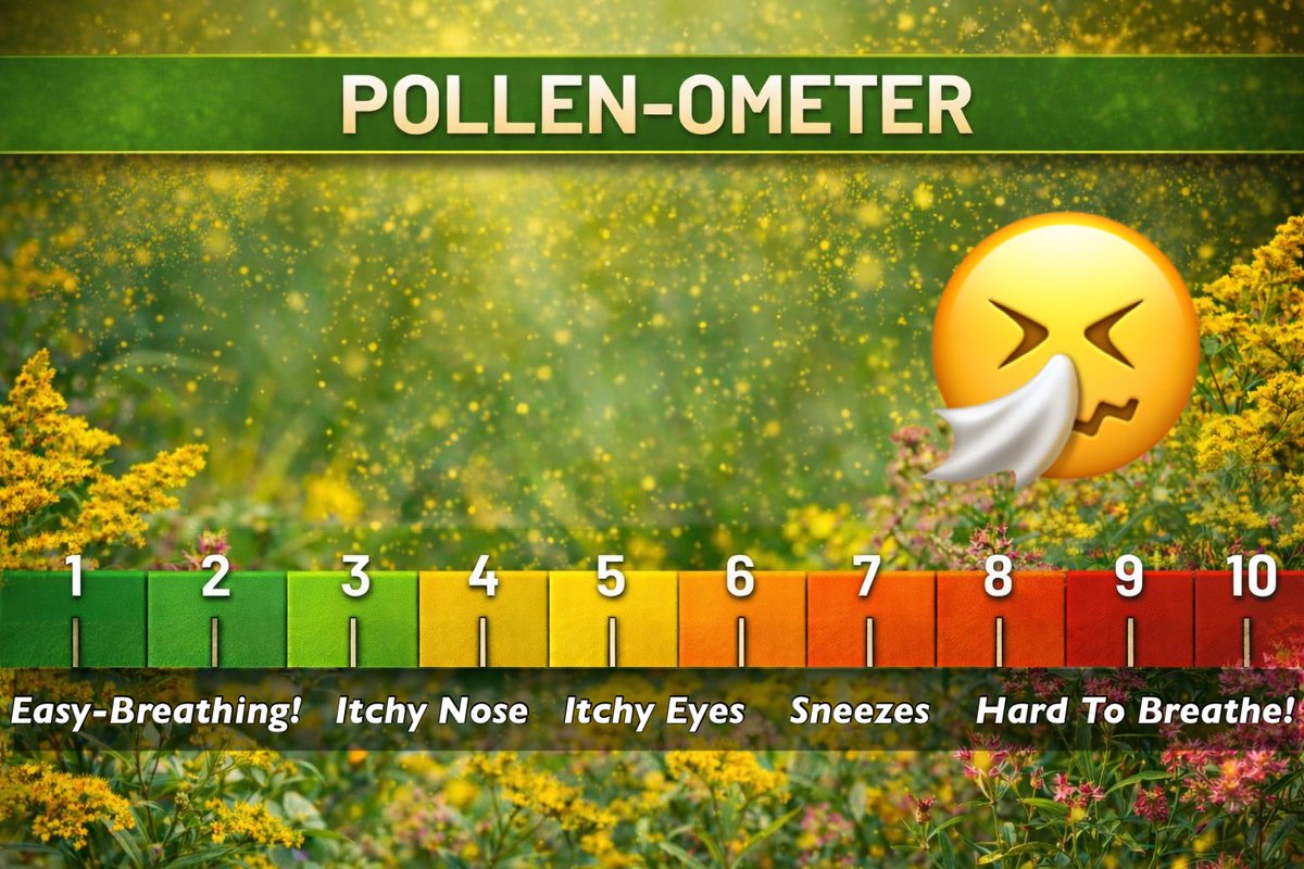 David Paul tweet media