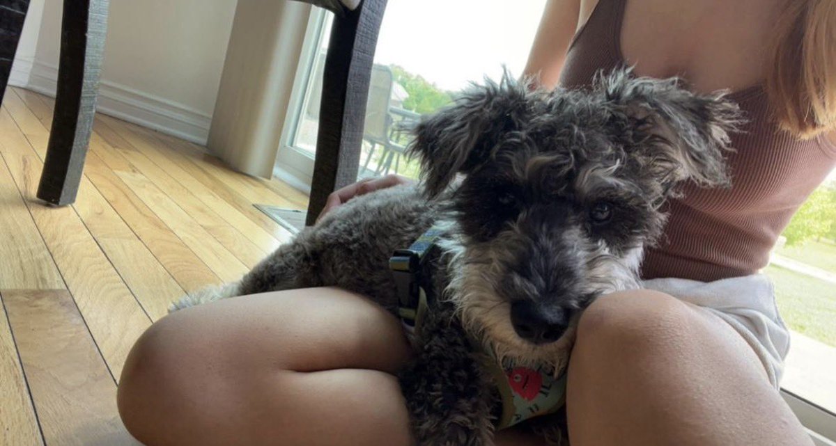 nicole 𖦹 ☼⋆｡˚⋆ฺ ∞ tweet media