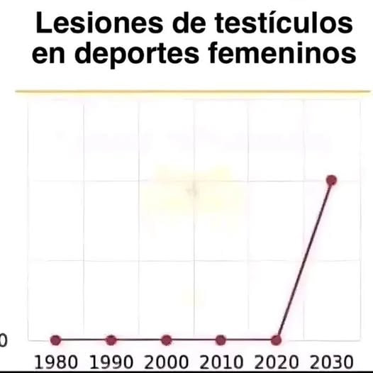 OcheRadfem tweet media