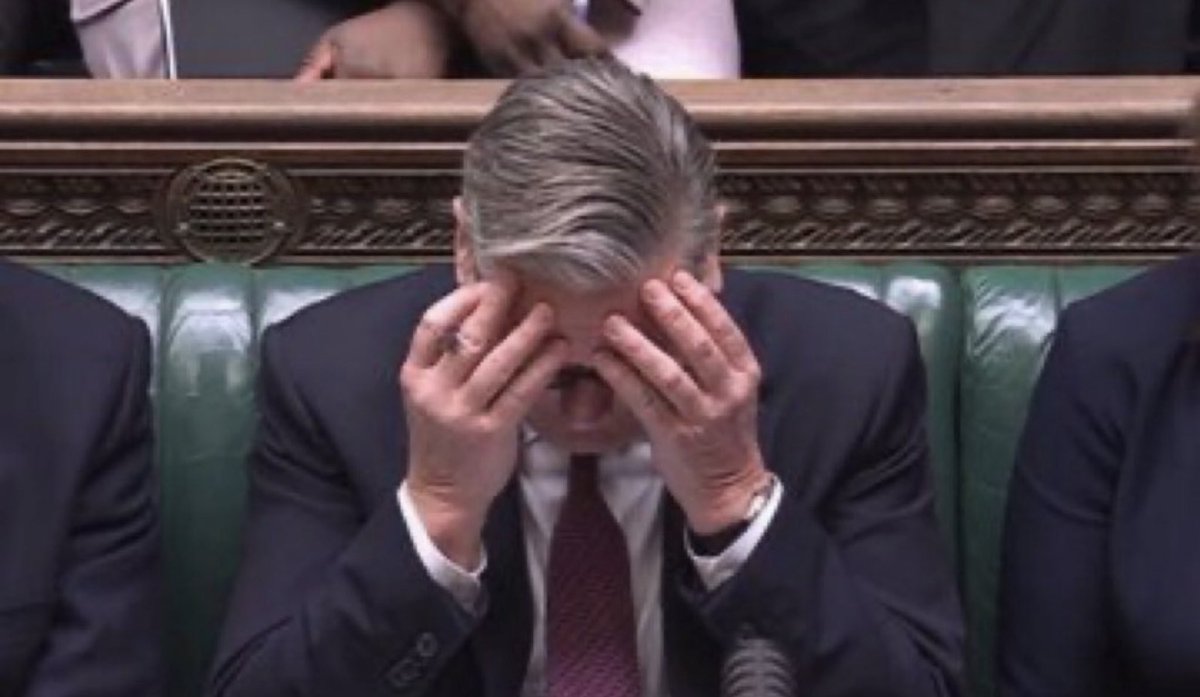 (((Milo Tindle))) tweet media