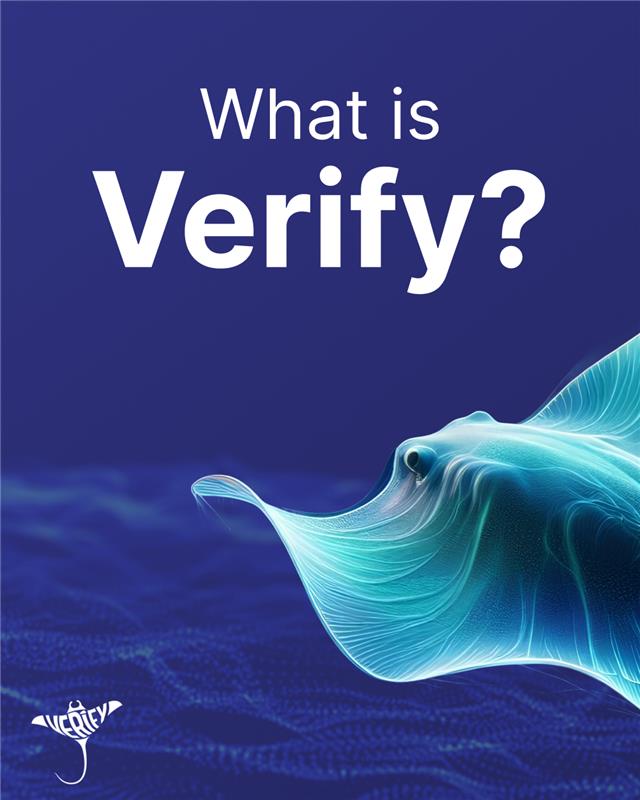 Fizen Technology tweet media