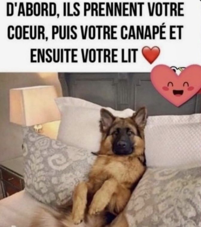 😈 PAT 66 👿 NO DM & LIST tweet media