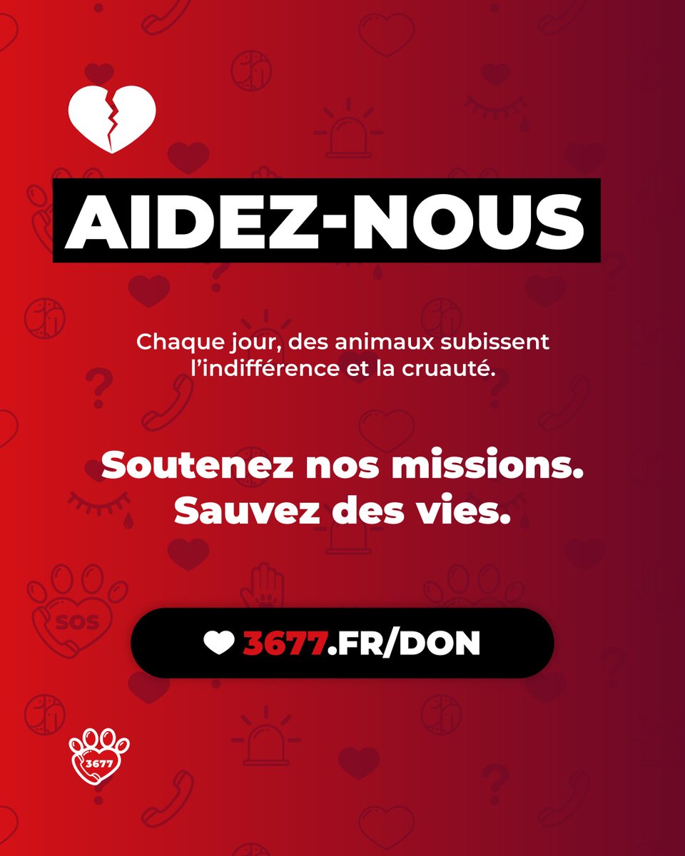 SOS Maltraitance Animale tweet media