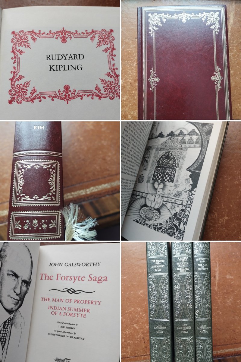 Katrina Rotgalve tweet media