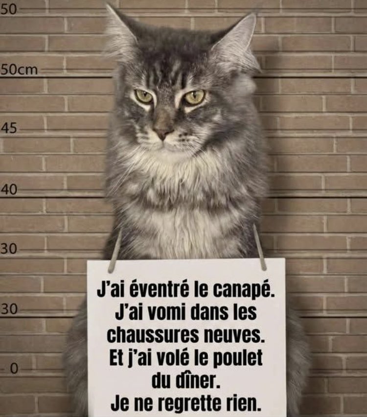 😈 PAT 66 👿 NO DM & LIST tweet media