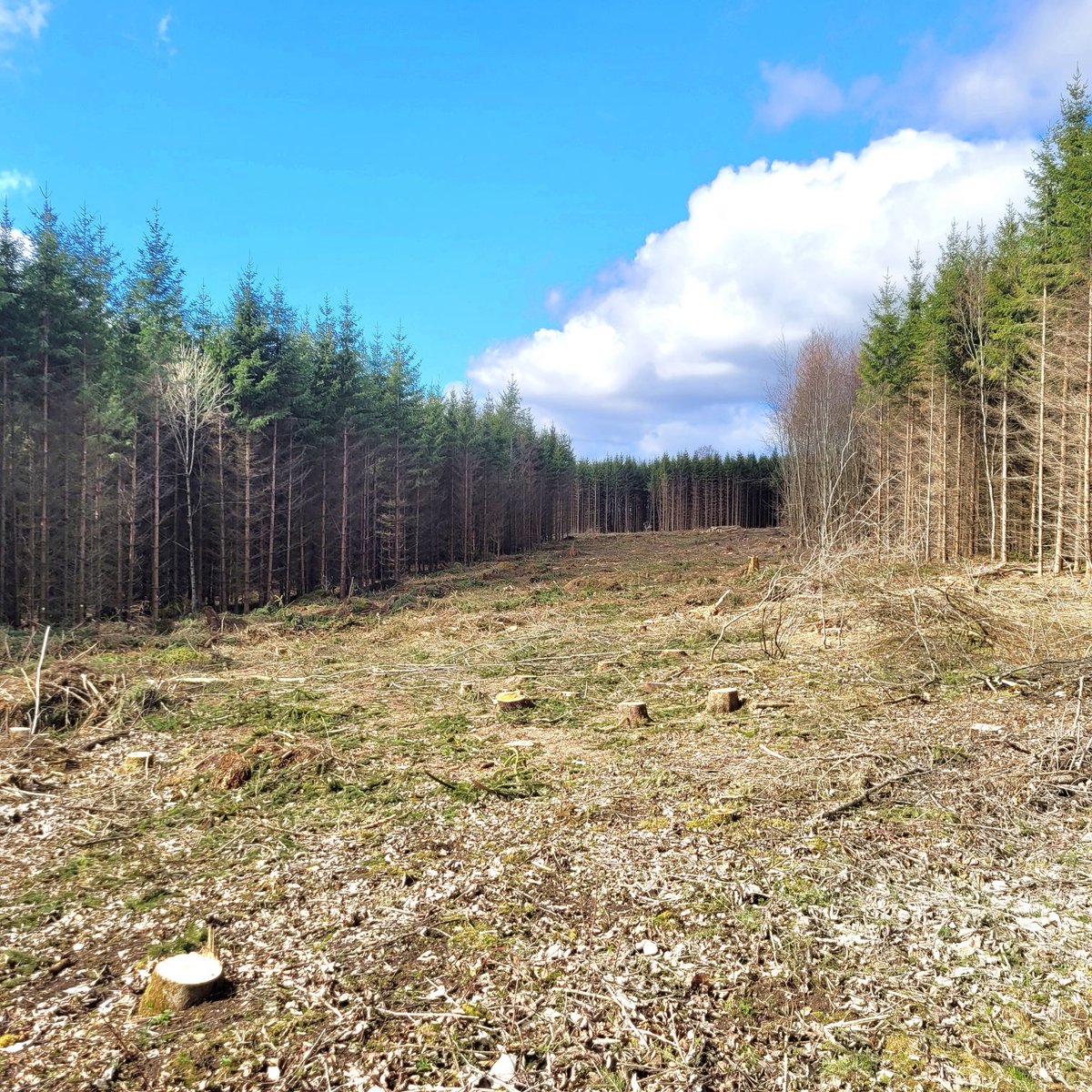 Martin Fehringer tweet media