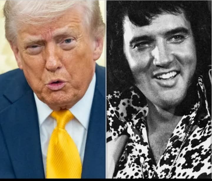 andrew sword tweet media