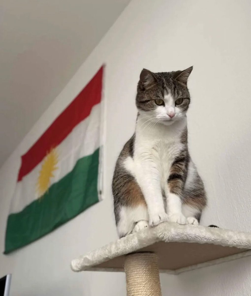 Zio ☀️ tweet media