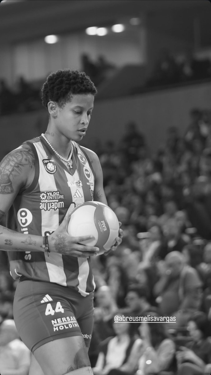 melissa vargas archive tweet media