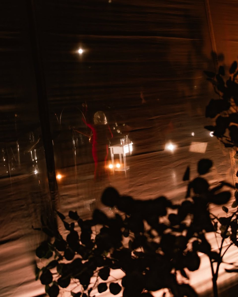 Maisie Peters France 🇫🇷🌱 tweet media