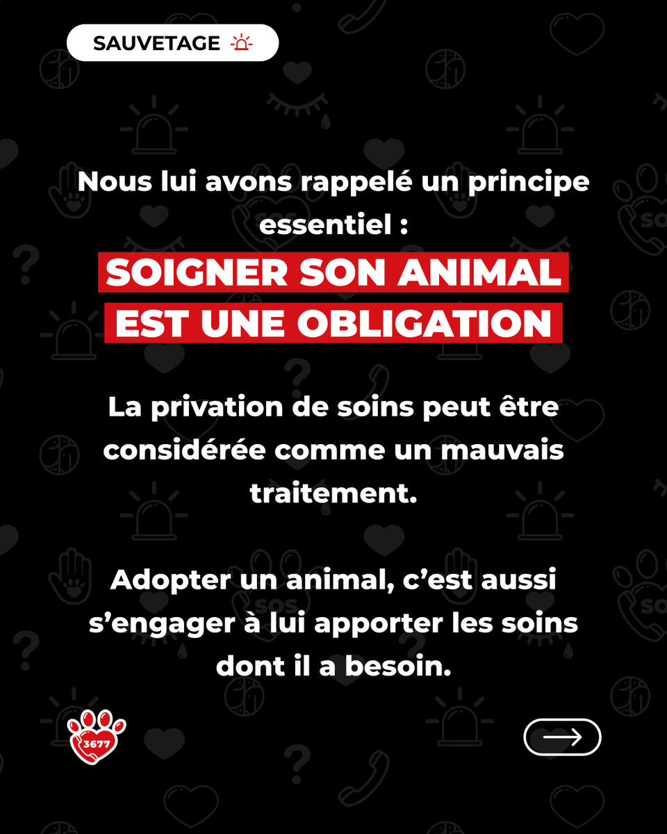 SOS Maltraitance Animale tweet media