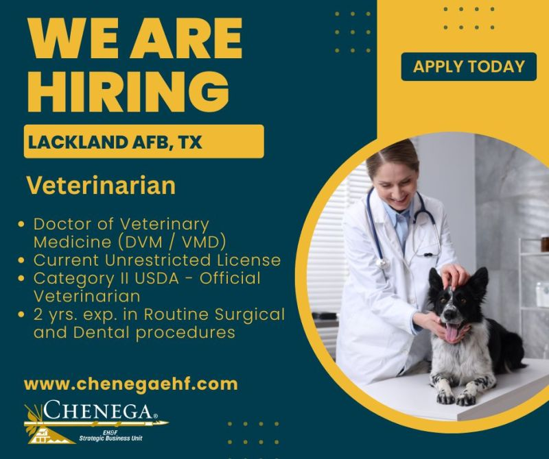 ChenegaCorpEHF's tweet image. Excellent opportunity to join our team in Lackland AFB, TX! Apply to the link below 👇 
lnkd.in/e24AxC3W...
#chenega #chenegafamily #NowHiring #JoinOurTeam #ApplyNow