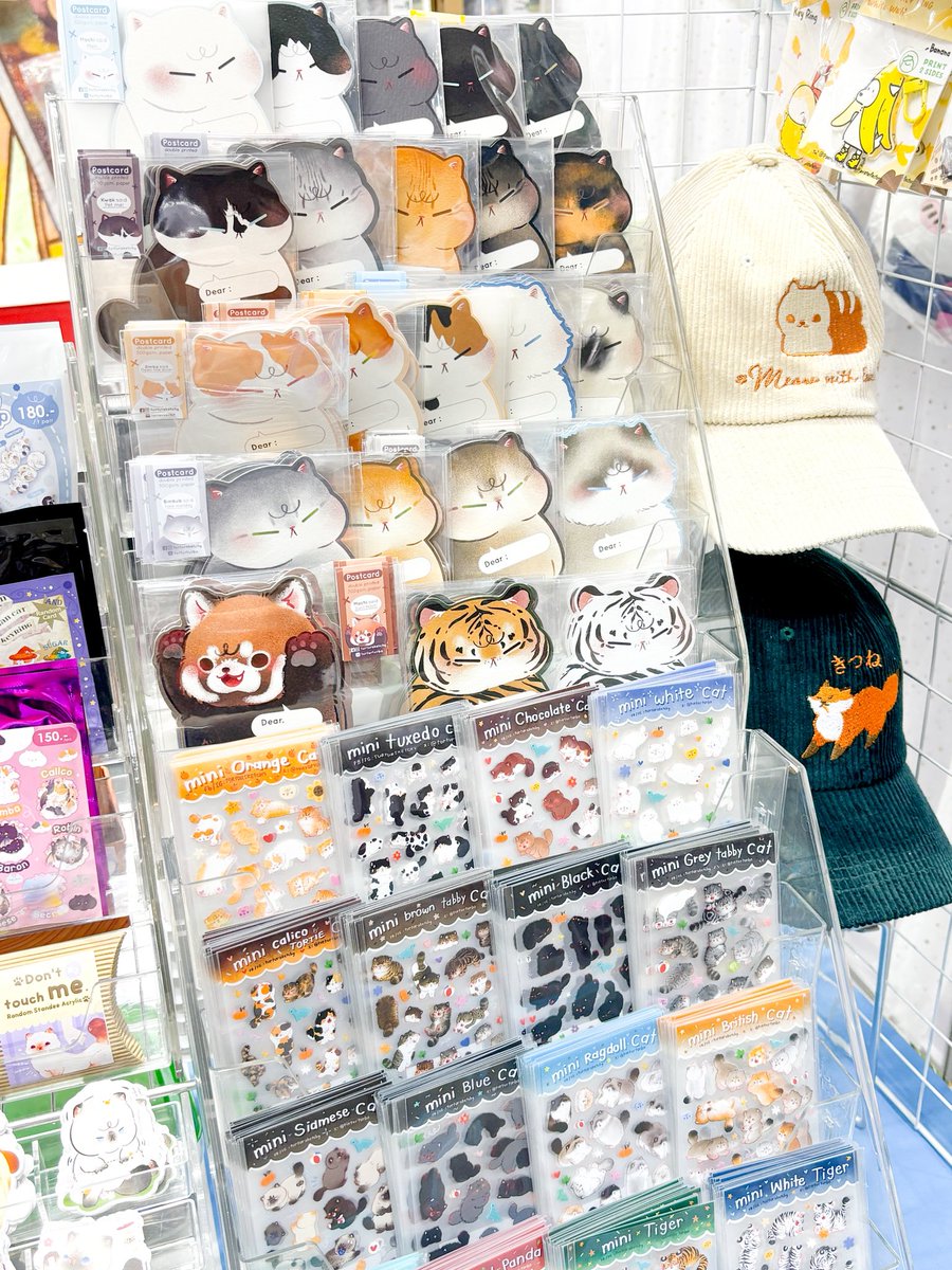 ° turtursketchy | Q06 #งานหนังสือ2569 🐈 tweet media