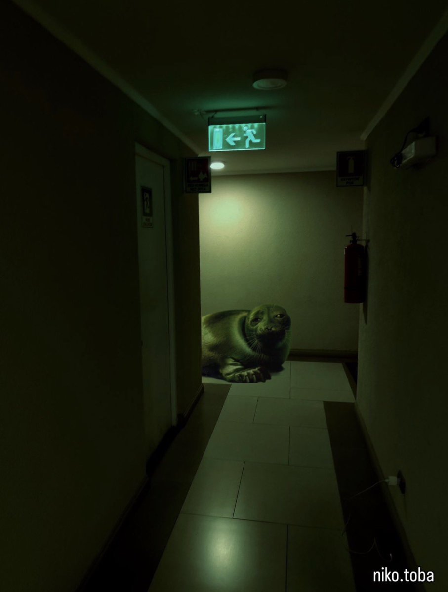 Herbuurna 🦭🇵🇷 tweet media