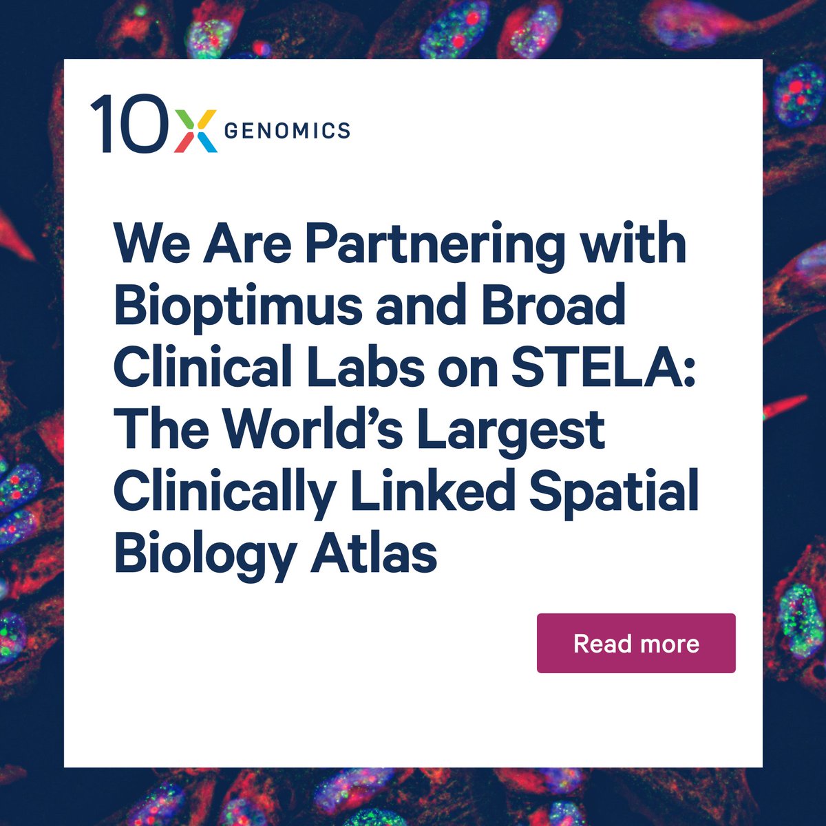 10x Genomics tweet media