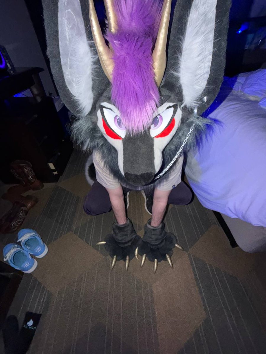 Doxxy 🖤 TFF 26 tweet media