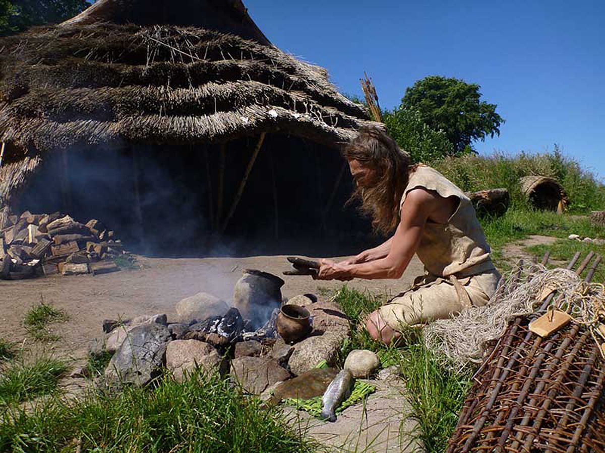 erklär mal tweet media