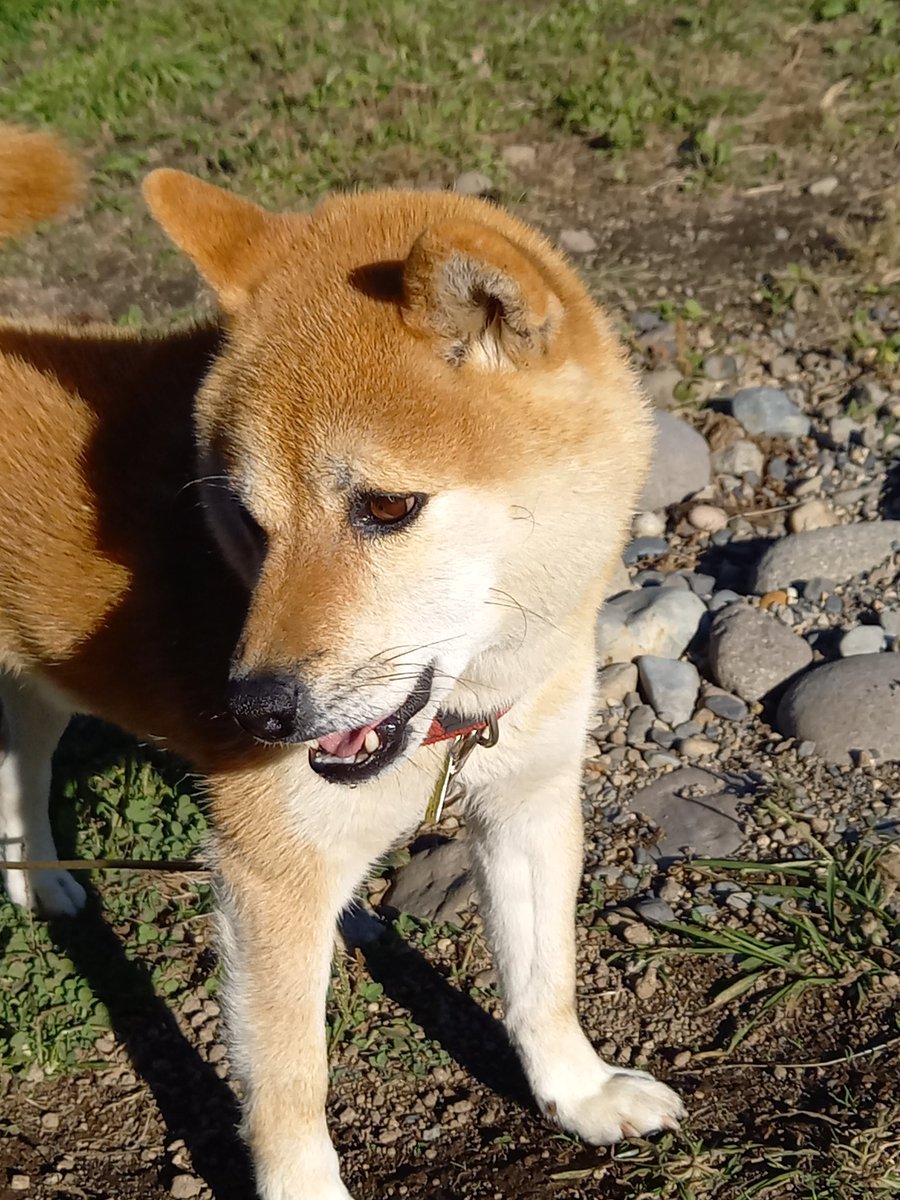 なまあじ tweet media