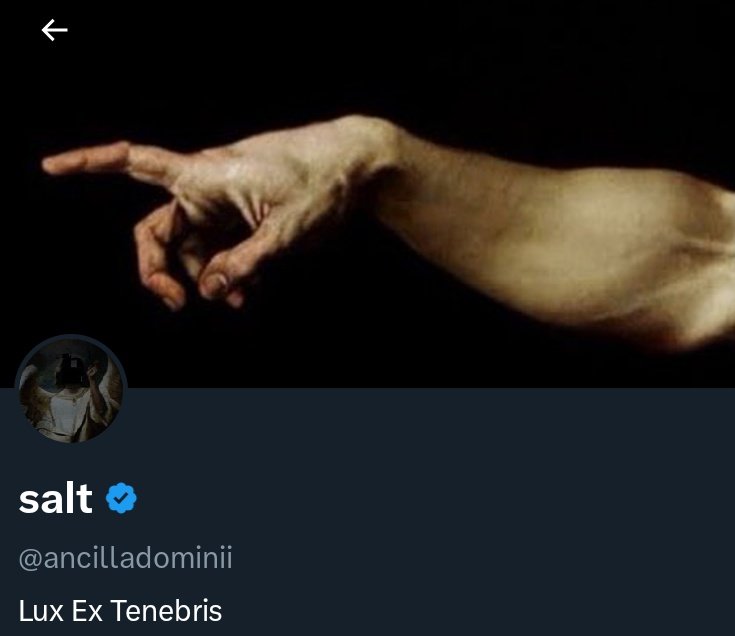 ✨крихітка хюґґе✨амбасадорка старовинної бруківки tweet media