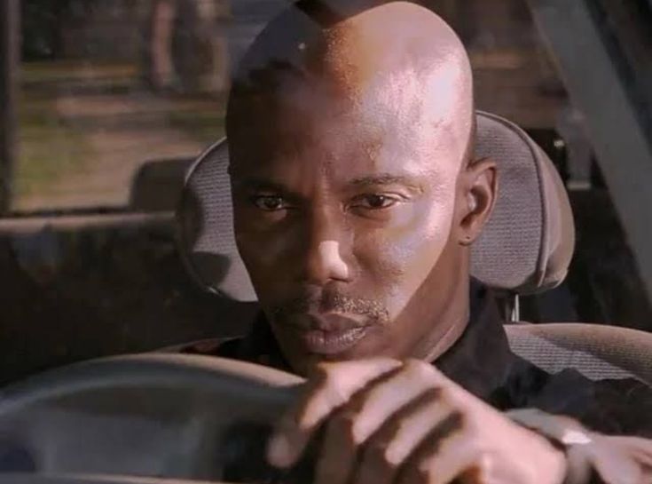 ✨крихітка хюґґе✨амбасадорка старовинної бруківки tweet media