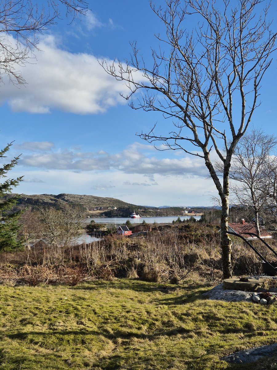 Nora 🜏 tweet media