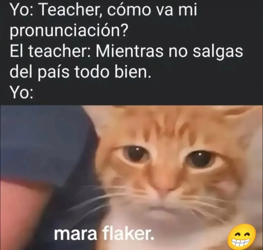 Ana_LaPatata tweet media