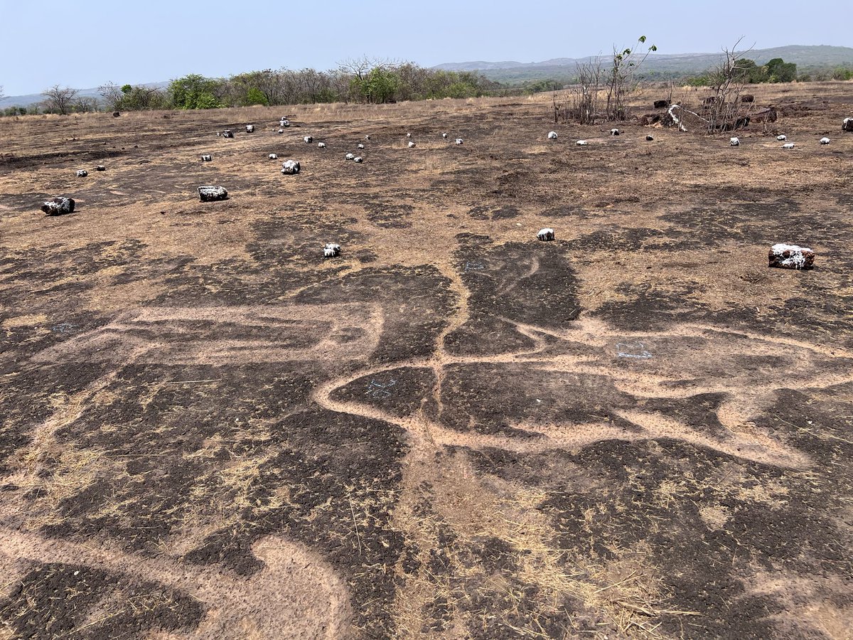 MyTemplesMyGlory 🇮🇳 tweet media