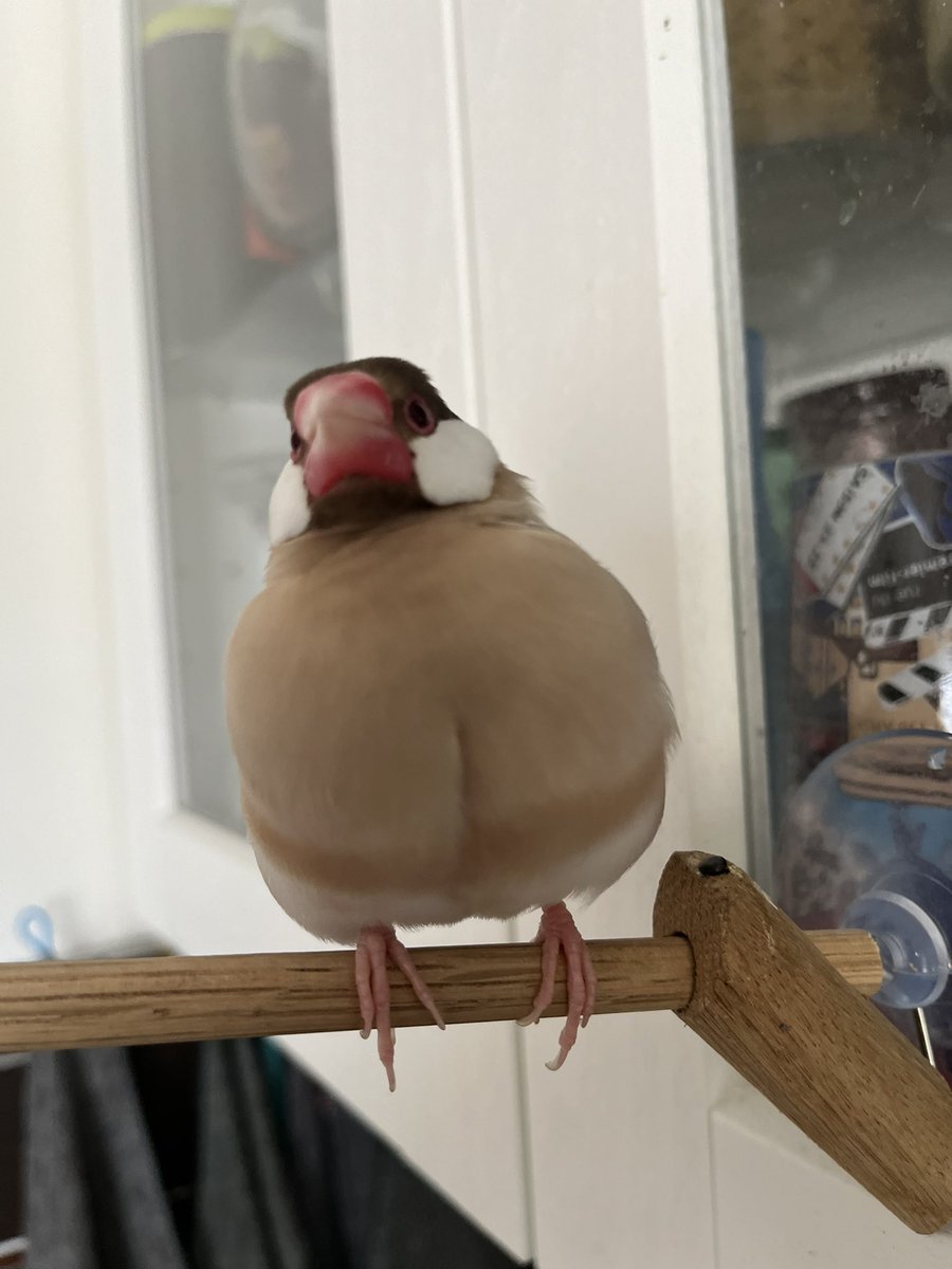 Charlène D. tweet media