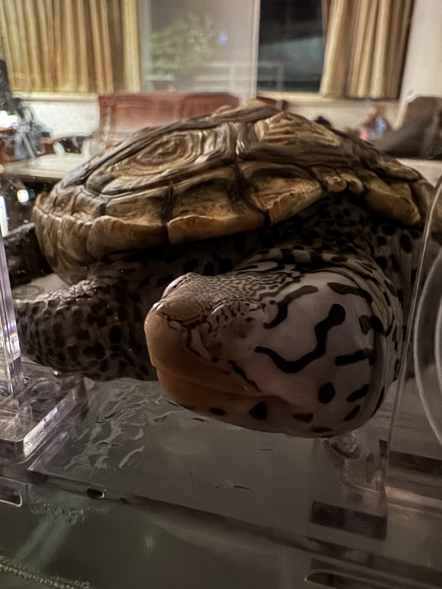 退租囉～房東太太 🌈 tweet media