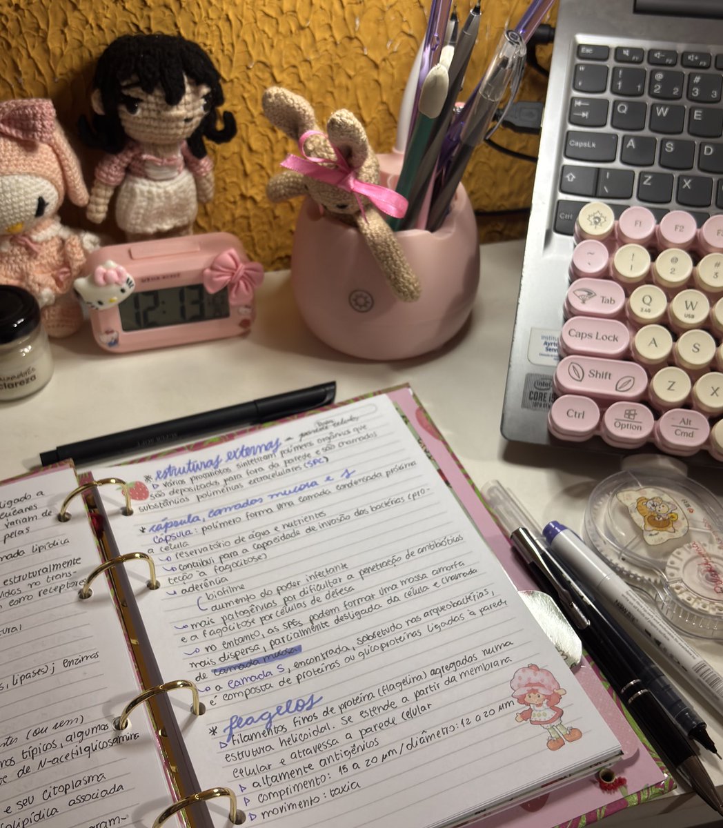 ✧˚ ༘ ⋆。˚ eli 💊 | aprova 🏷️STUDYELI tweet media