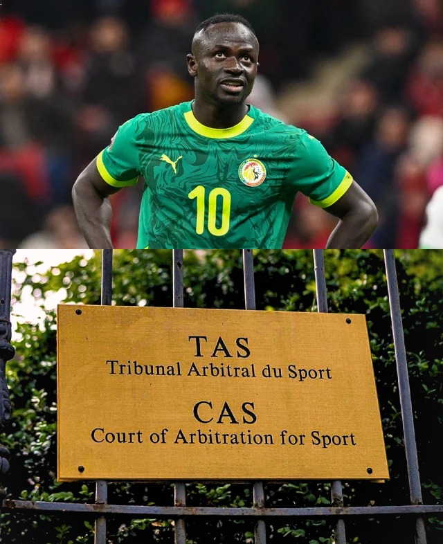 The Touchline | 𝐓 tweet media