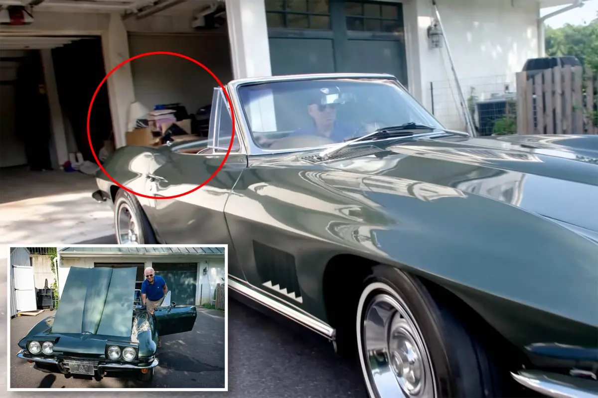 David L Wagner tweet media