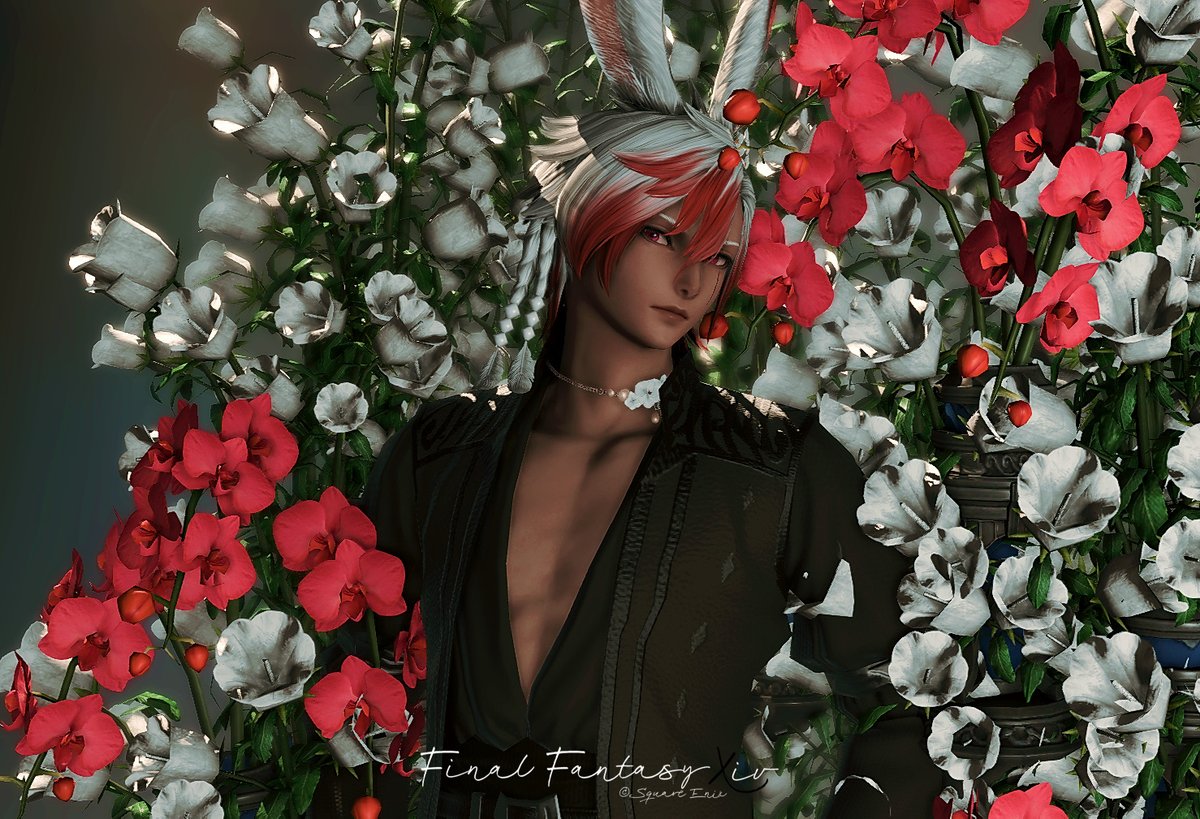 ひい@パンデモ tweet media