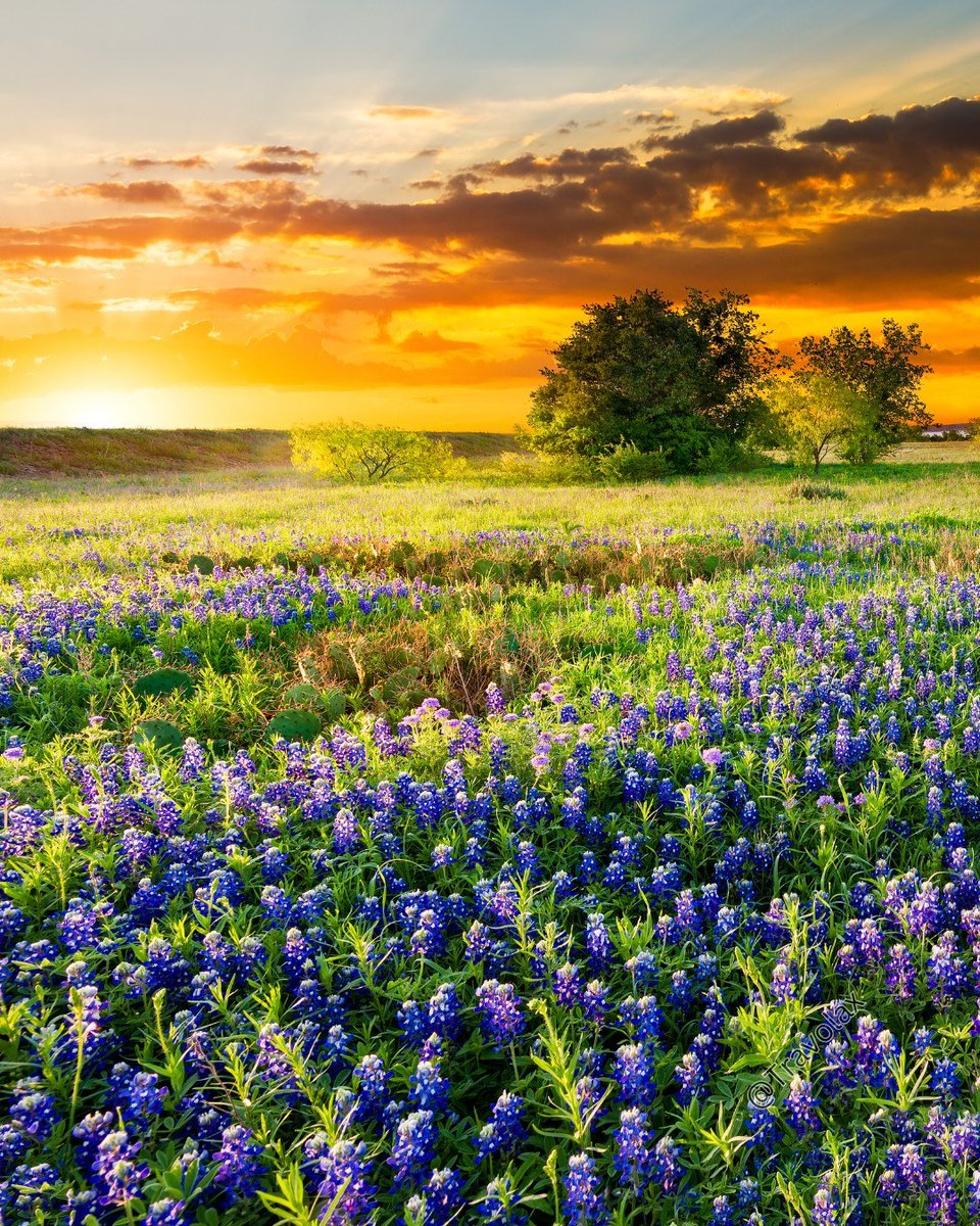 Travolax | Always Traveling tweet media