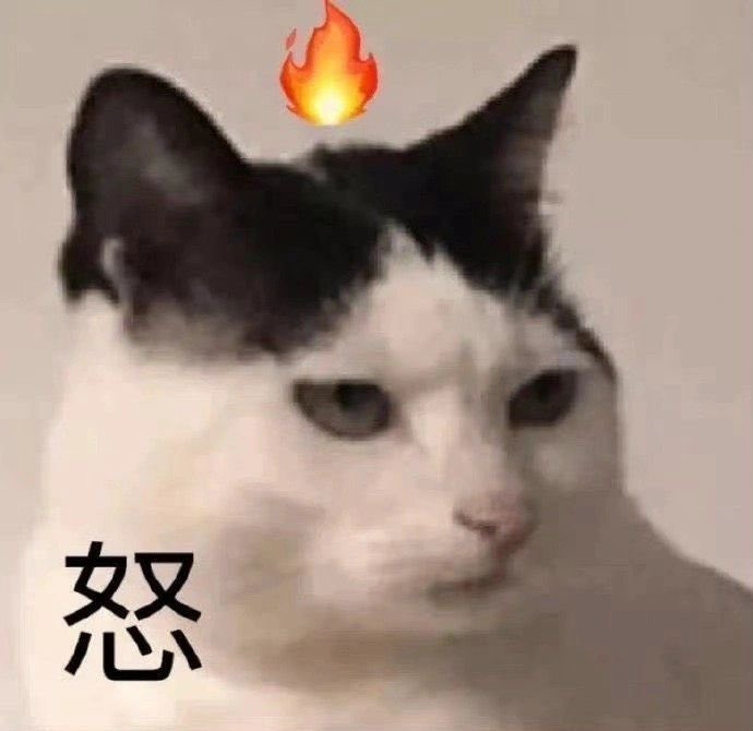 Qingfeng tweet media