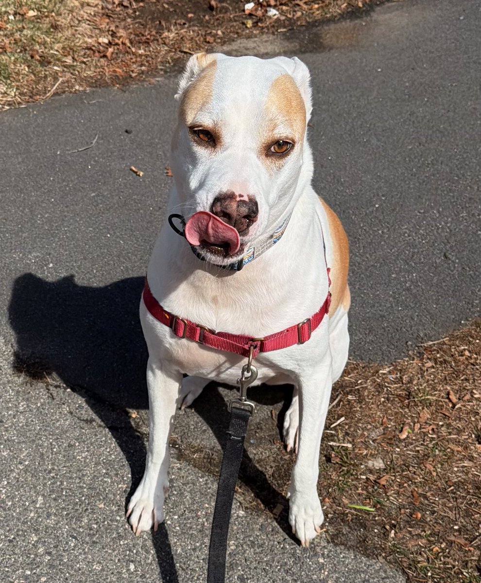 The Young Jurks tweet media