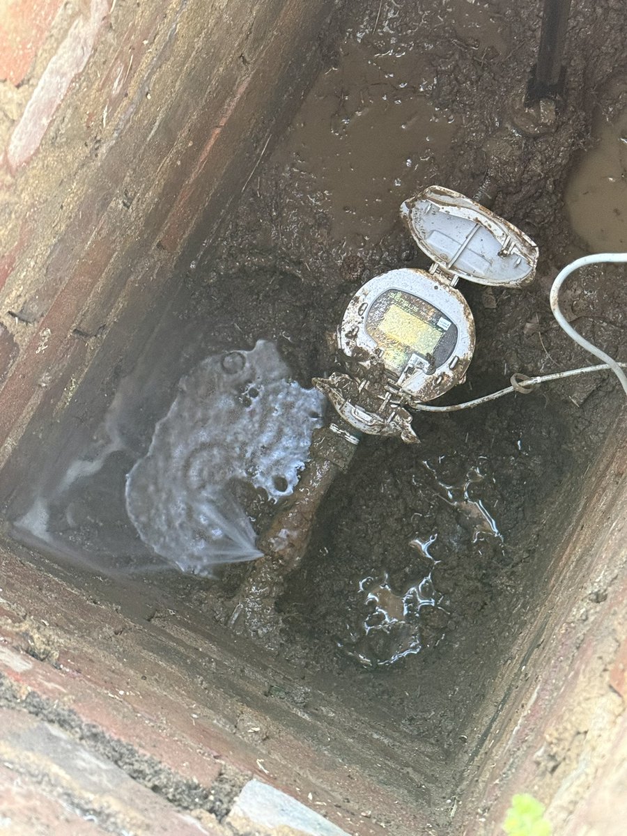 Predxican ®️™️🏊🏼‍♂️🚴‍♀️🏃🏽‍♂️🏒🥅 tweet media