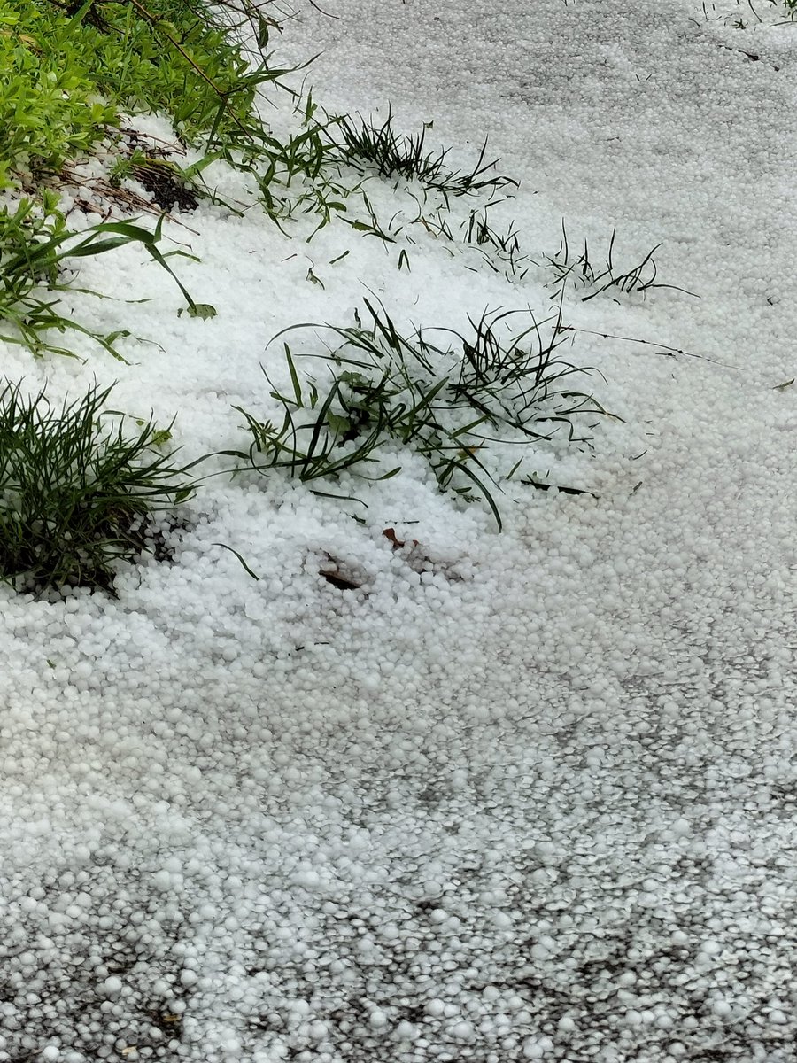 Robert Jansen tweet media