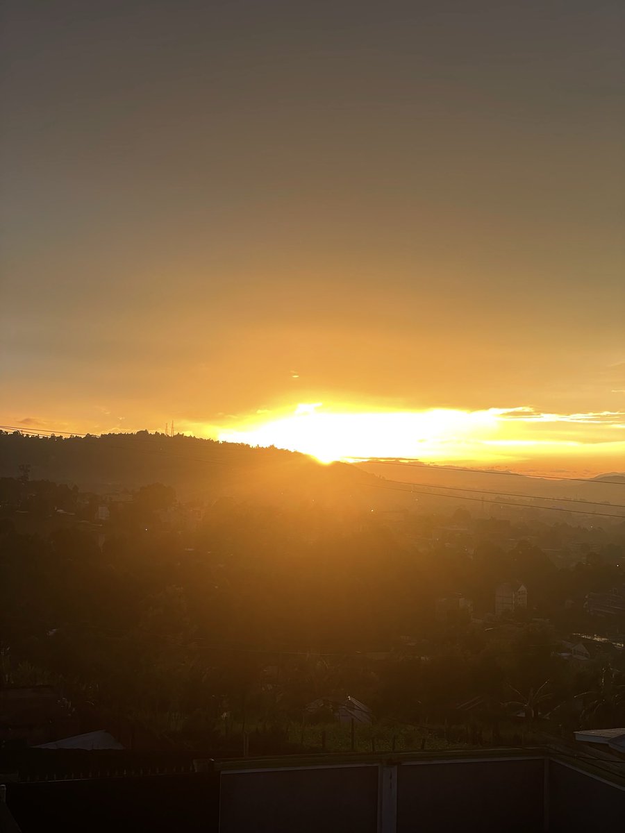 Daisy Ndemo tweet media