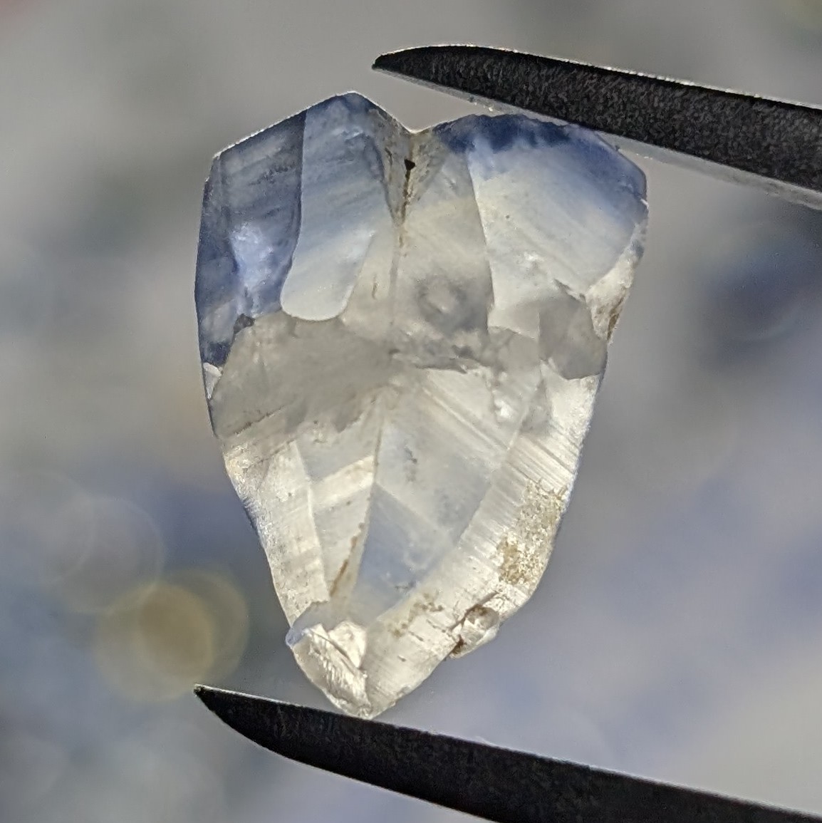 みかか @Lightened tweet media