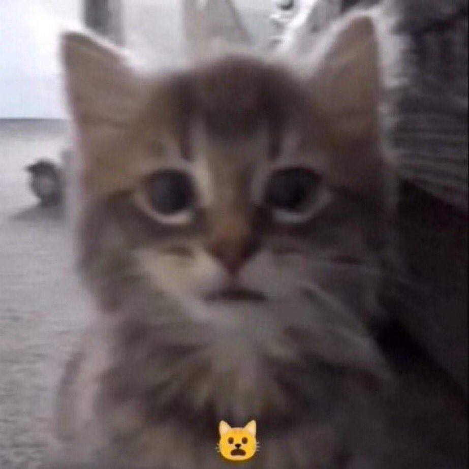 𝐌𝐀𝐑𝐒𝐇丨قائد tweet media