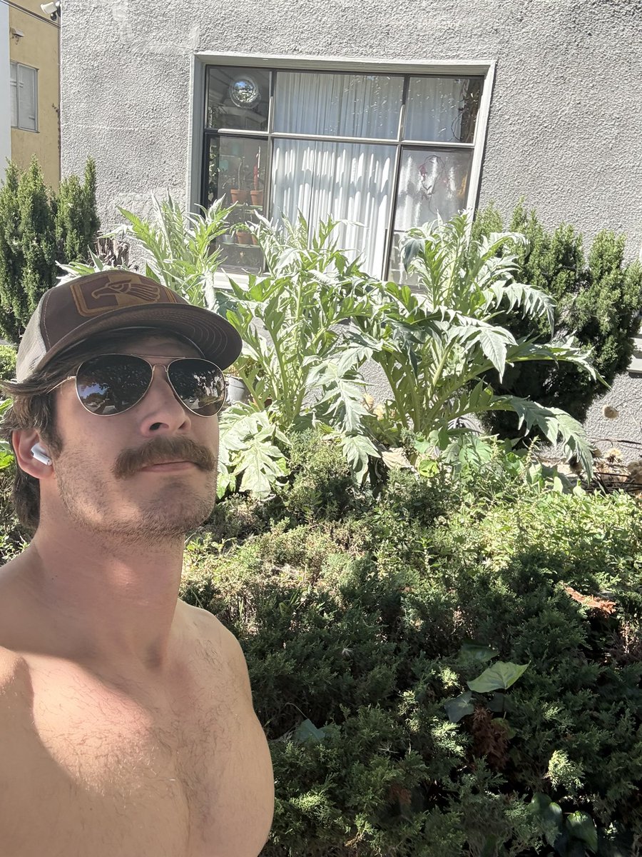 Matthew Gaston tweet media