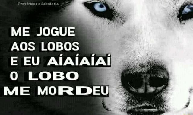 oi ju pode chamar de ju tweet media