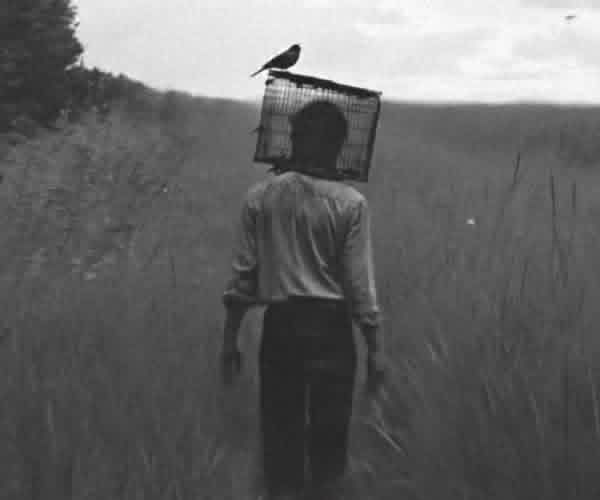 VAN MUTOKA tweet media