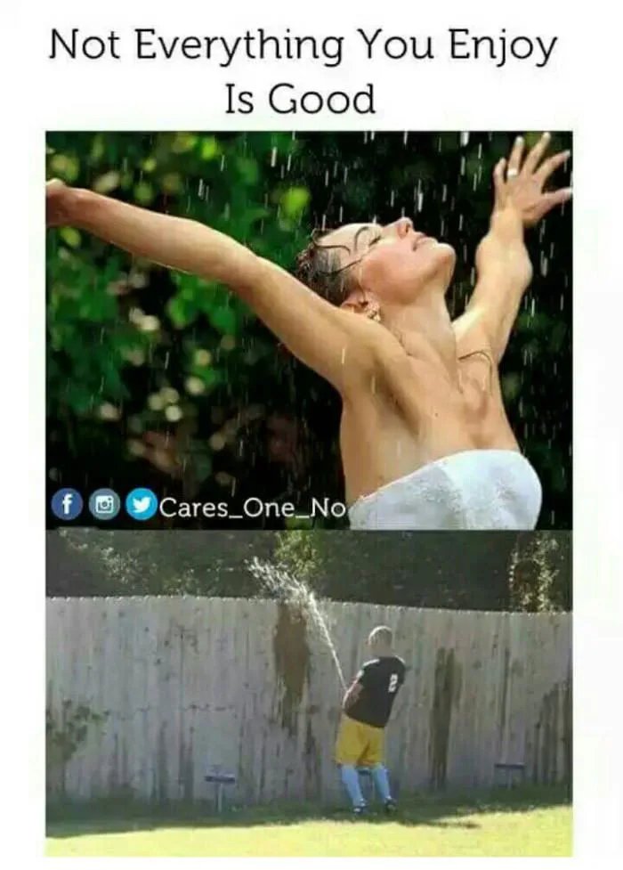 𝙈𝙤𝙨𝙩𝙡𝙮𝘾𝙧𝙪𝙢𝙗𝙨 tweet media