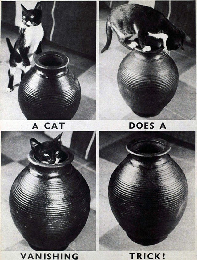 Yesterday's Print tweet media