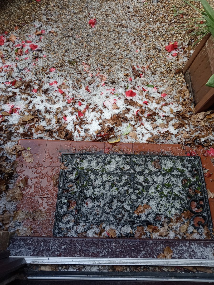 Leolupus's tweet image. Ah, spring! When it's a balmy 4 degrees and pelting down with hail.
#BritishWeather